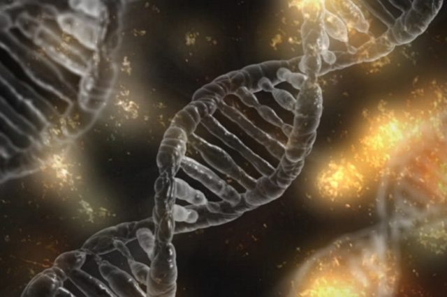 Клініко-патогенетичне обґрунтування використання альтану і дицетелу в комплексному лікуванні хронічного некаменевого холециститу (автореферат)