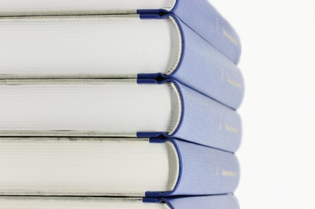 Омонимия в русском языке (курсовая)