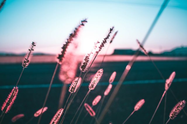 Підвищення ефективності державної служби &ndash; як важливий чинник інноваційно-інвестиційного розвитку України (реферат)