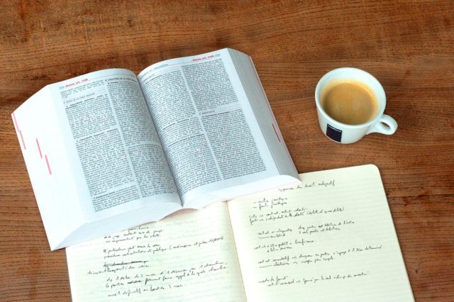 Ключевые дифференцирующие факторы в современных обществах (реферат)