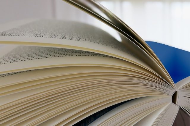 Фразовые глаголы (курсовая)