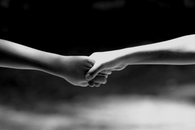 Функции социологии (реферат)