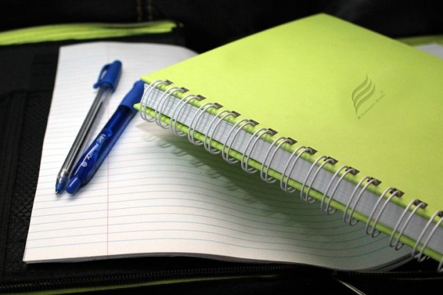 Громадські гуманітарні ради як інструмент вдосконалення державної гуманітарної політики (реферат)