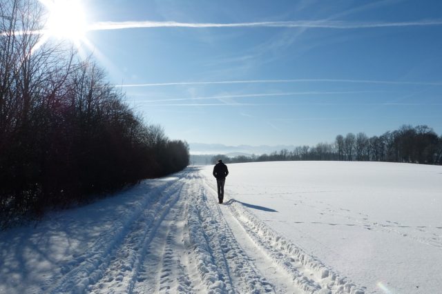 Громадський контроль та управління процесами трансформації довкілля, що впливають на здоров&rsquo;я населення Країни (реферат)