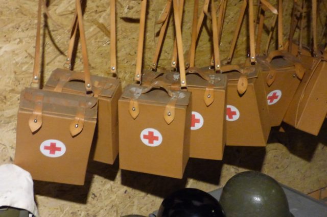 Медицинская служба гражданской обороны (книга)