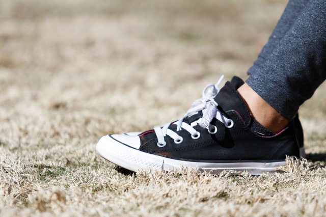 Формування інноваційної моделі розвитку потенціалу молоді з урахуванням соціокультурних функцій освіти (реферат)