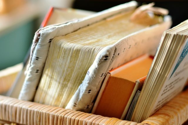 Передумови переорієнтації сучасного екологічно небезпечного природокористування в державі (реферат)