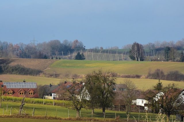 Механізми реалізації державної політики, спрямованої на забезпечення соціально-економічного розвитку регіонів (реферат)