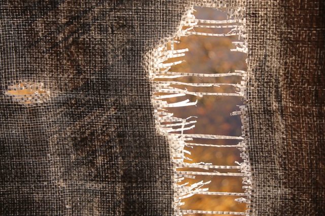 Стратификация общества (реферат)