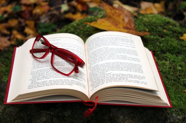 Теоретико-методологічні засади політики врахування взаємодії всіх природних ресурсів в державі (реферат)