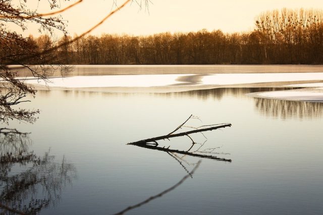 Державні проблеми забезпечення якості неперервної освіти (реферат)