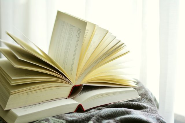 Захист соціально-економічних прав людини як основна функція соціально-правової держави (реферат)