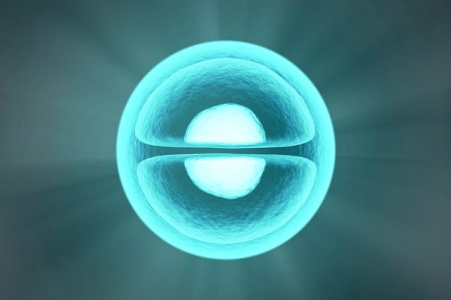 Порядок и беспорядок в мире атомов (реферат)