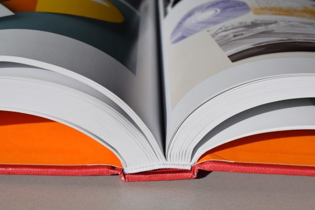 Поліпшення фінансування малих підприємств аграрної сфери України (реферат)