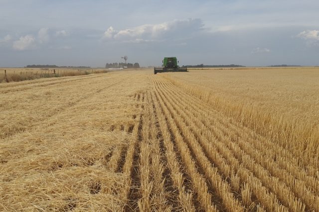 Тенденції інженерно-технічного забезпечення аграрного виробництва (реферат)