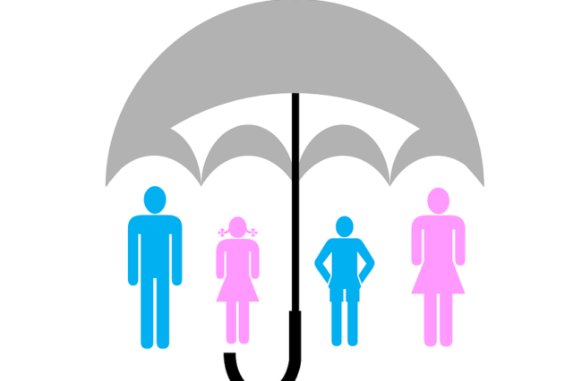 Особливості становлення кептивних страхових компаній в Україні (реферат)