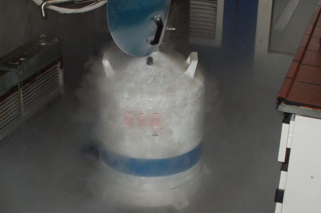 Расчет вала АЗОТадувки (реферат)