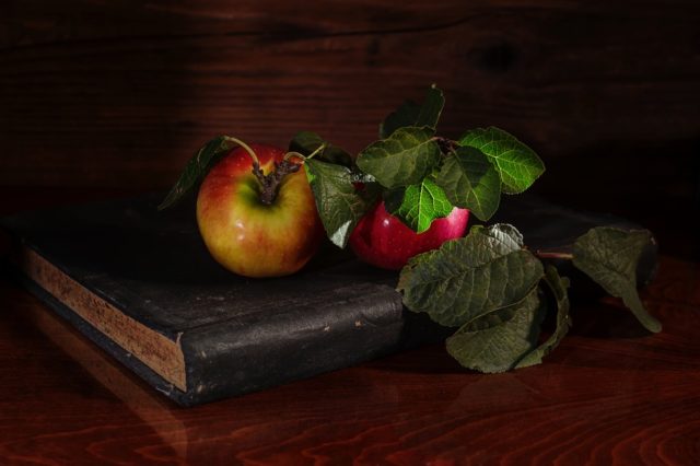 Стан та напрямки розвитку індустріального потенціалу запорізького регіону (реферат)