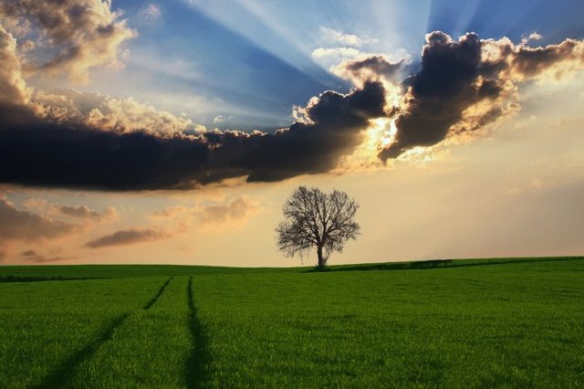 Экономические аспекты взаимодействия общества и природы (реферат)