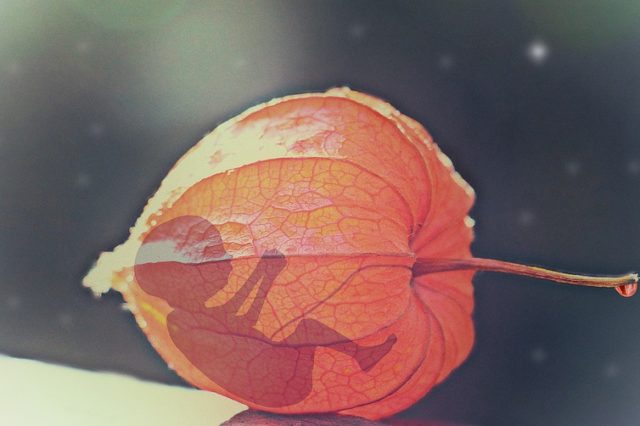 Отношение людей к абортам (реферат)