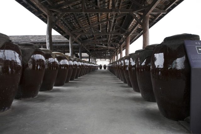 Отравляющие и сильно действующие ядовитые вещества общеядовитого действия. Клиника, диагностика и лечение (курсовая)