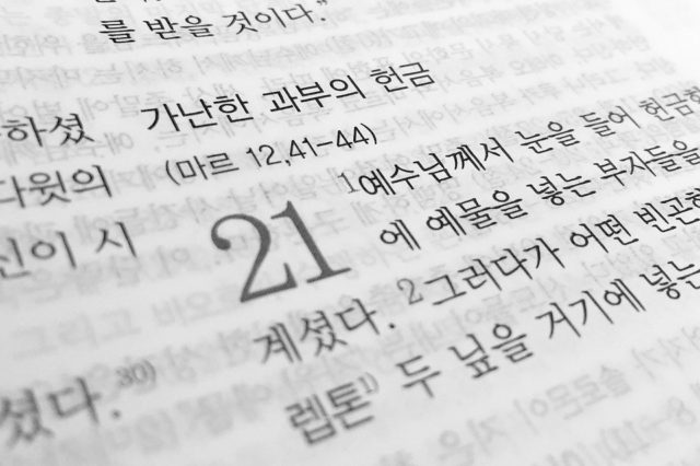 История развития языков (реферат)