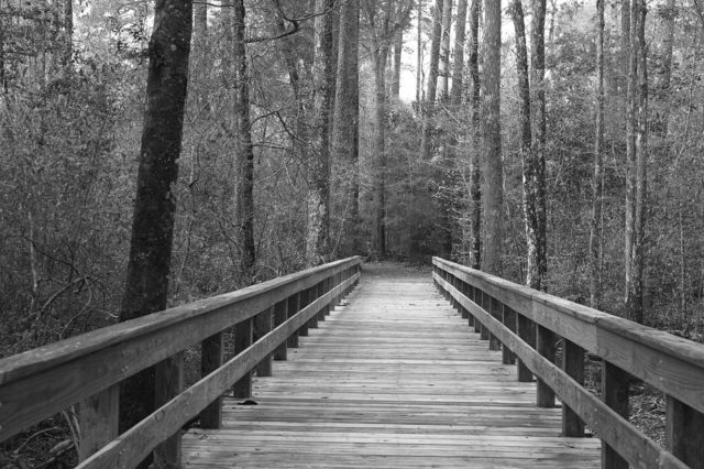 Загальний випадок дії сил на брус (реферат)