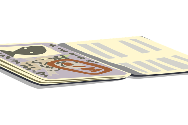 Особливості міжнародної міграції висококваліфікованих кадрів (реферат)