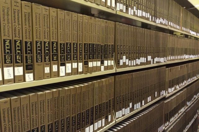 Проблемні аспекти нормативно-правового регулювання відносин позики (реферат)