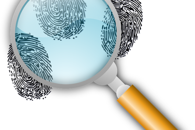 Организация и производство обыска и выемки (дипломная)