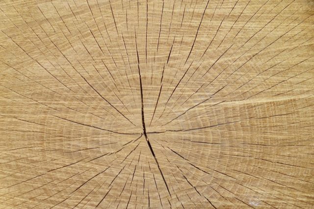 Розрахунки на зріз і зминання. Основні поняття й розрахункові формули (реферат)