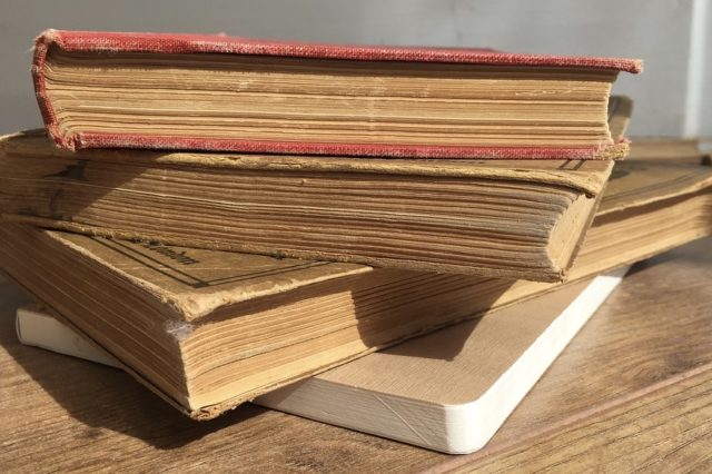 Уголовно-правовая охрана лиц, исполняющих свой служебный или общественный долг (курсовая)