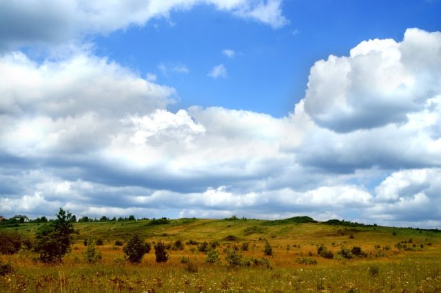 Проектирование выпарной установки (реферат)