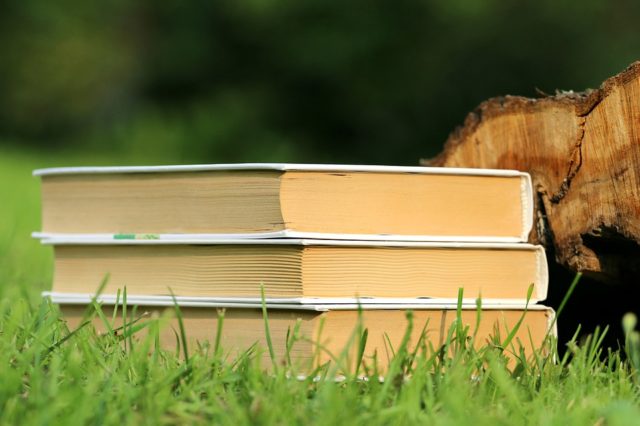 Категория падежа в русском и немецком языках (курсовая)