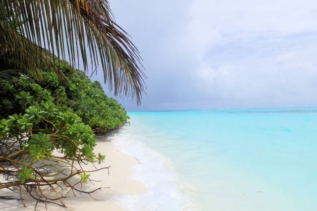 Образ рая в христианстве и исламе (реферат)