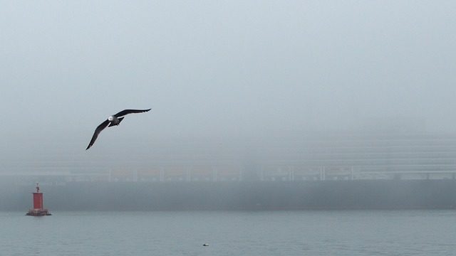 The United States of America (перевод)