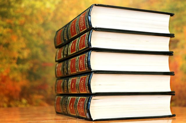 Державний стандарт початкової загальної освіти (реферат)