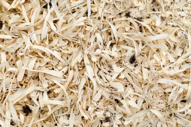 Технология изготовления древесно стружечных плит (курсовая)