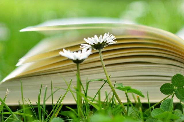 Основні тенденції суспільно-політичного й економічного розвитку світу наприкінці XVIII &mdash; на початку XX ст. (урок)