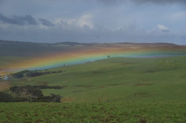 Far North (урок)
