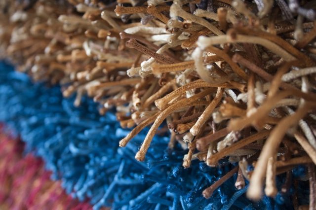 Коструб (реферат)