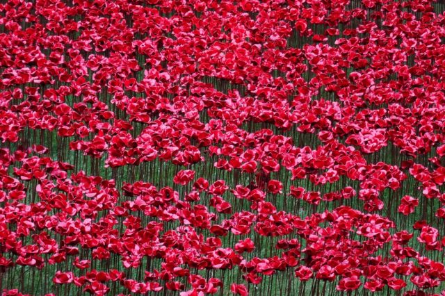 Мирний договір у Брест-Литовську (урок)