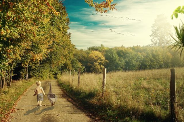 My Friend (перевод)