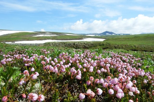 My favorite season (перевод)