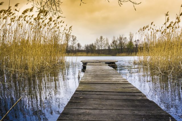 Початок Української революції (березень-квітень 1917 р.) (урок)