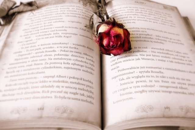 Зарубіжна література. 6 клас: методична лоція (реферат)