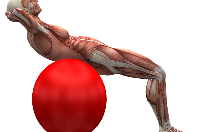 Формирование программы управления. Параметры стимулирующего сигнала