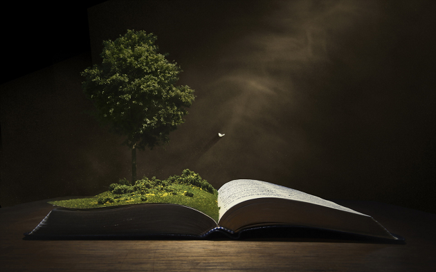 Муромцев С.А. &ndash; Гражданское право Древнего Рима (книга)