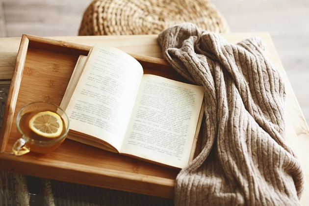 Вопленко Н.Н. 2004 &ndash; Источники и формы права (книга)