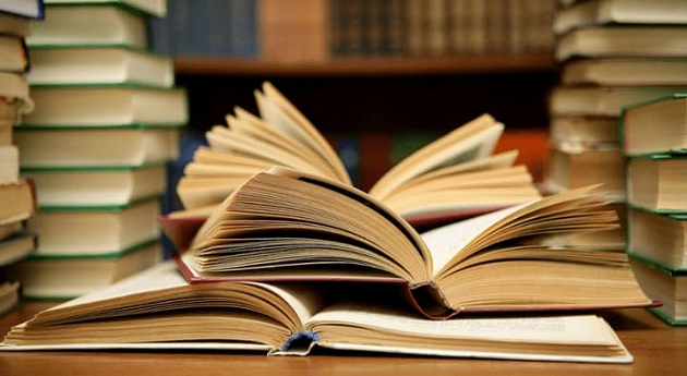 Лившиц Р.З. 1994 &ndash; Теория права (книга)